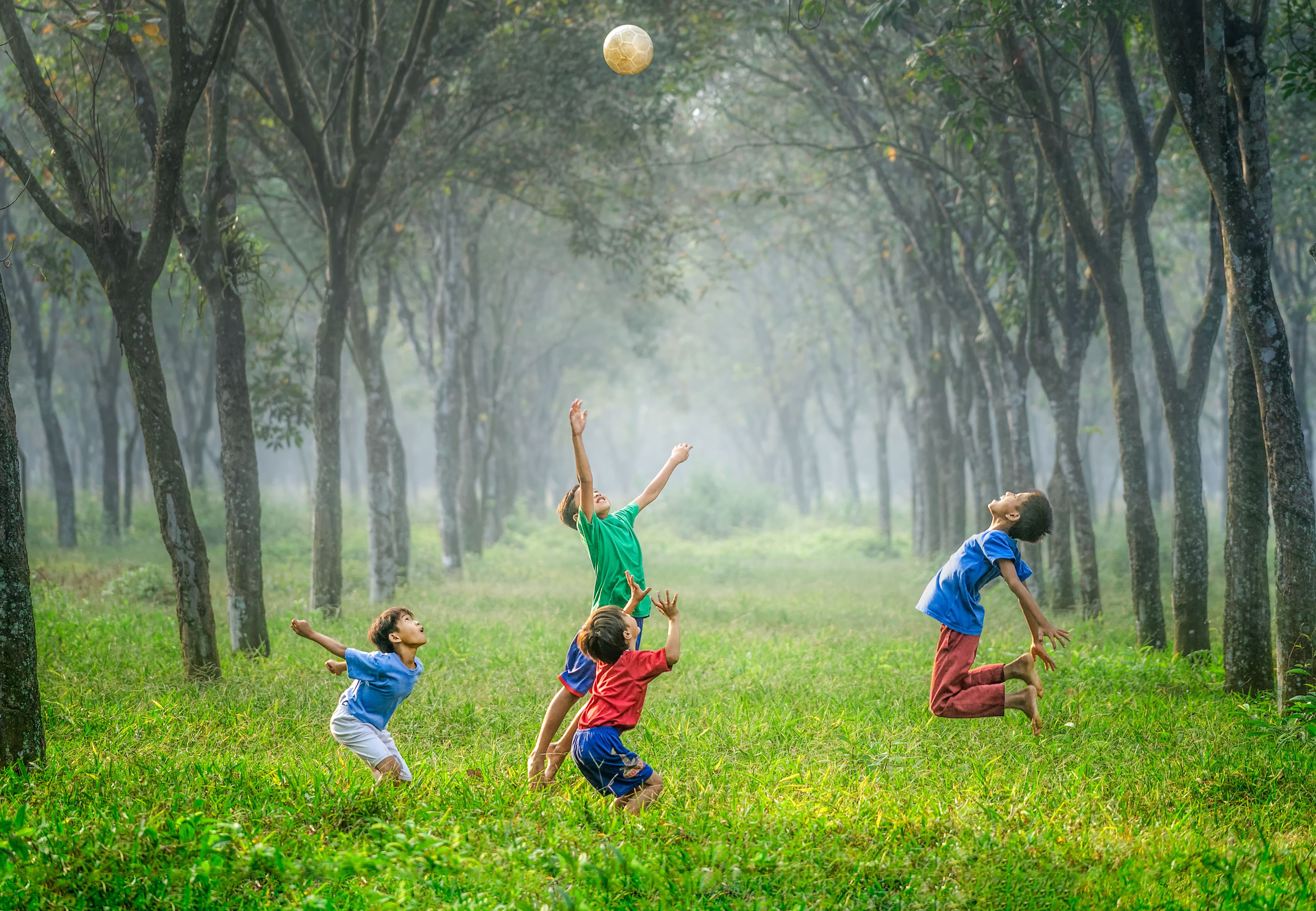 Kinder spielen im Wald mit einem Ball